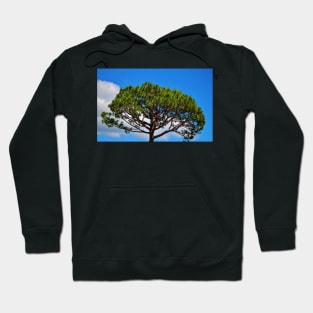 Italian Stone Pine Hoodie